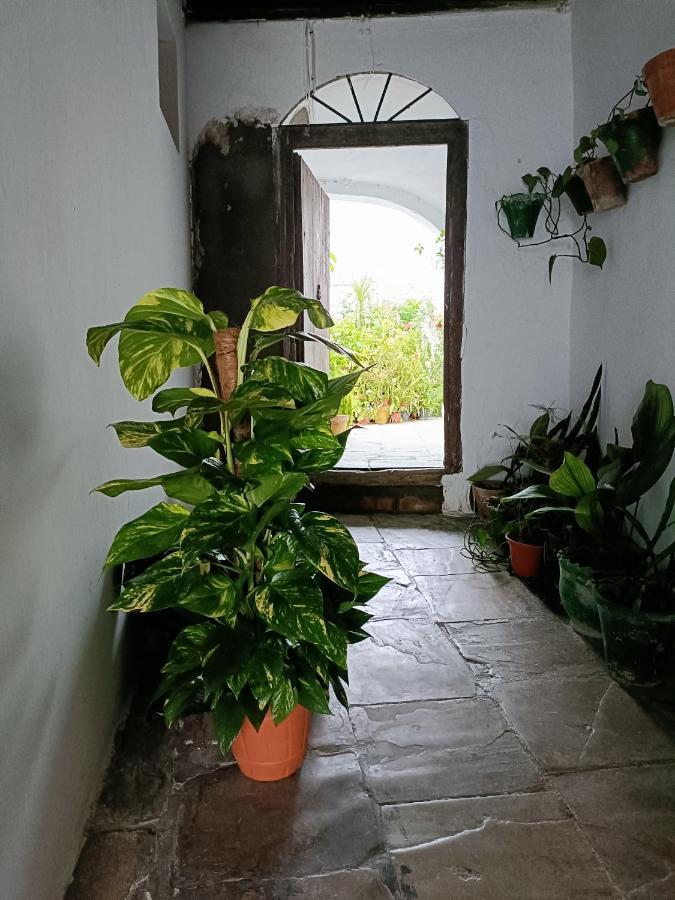 Casa Amalfi, Coqueta Casa Centro Historico De Vejer Appartement