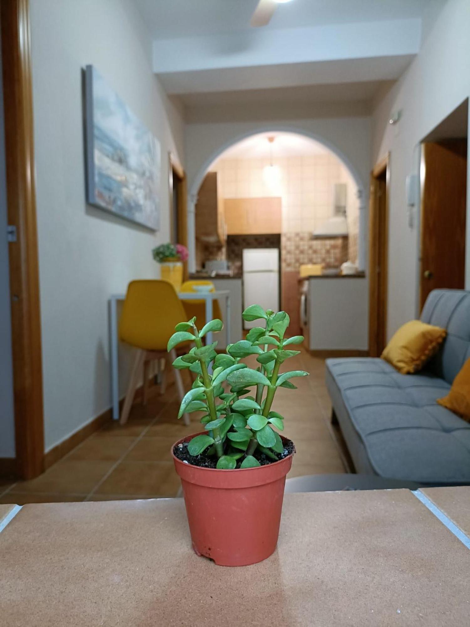 Casa Amalfi, Coqueta Casa Centro Historico De Vejer Appartement
